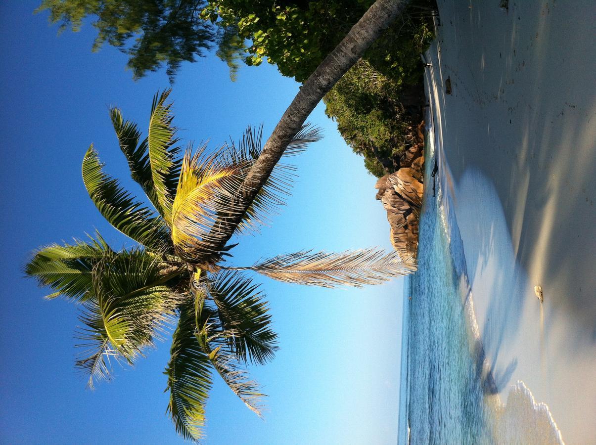Villas Du Voyageur Grand Anse  Exterior foto