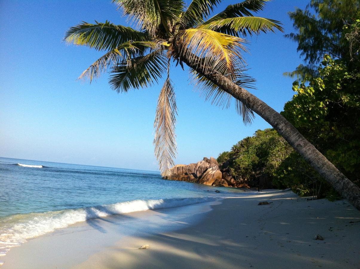 Villas Du Voyageur Grand Anse  Exterior foto