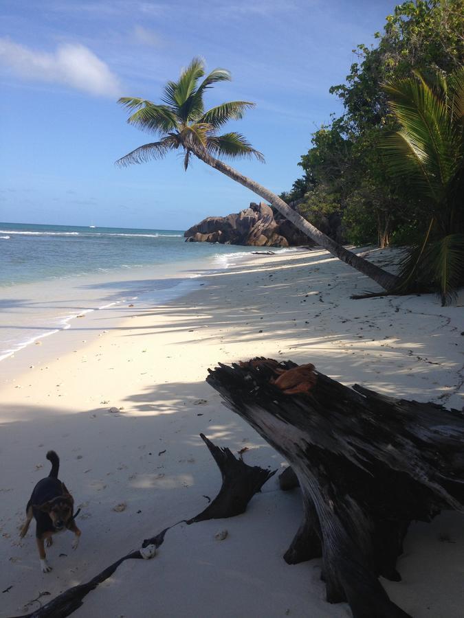 Villas Du Voyageur Grand Anse  Exterior foto